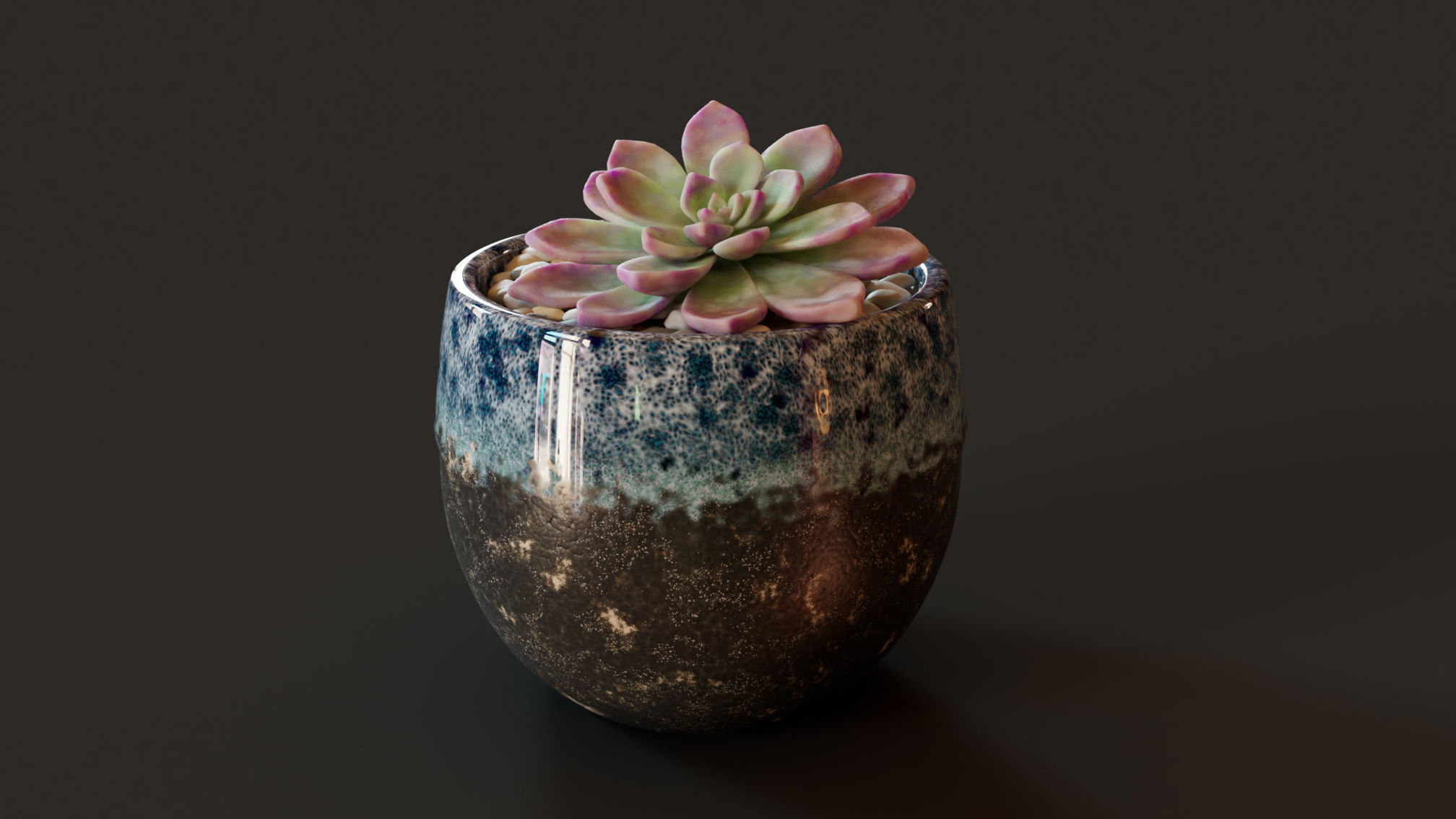 Succulent